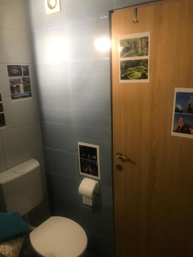 Family Studio Cluj-Napoca Eksteriør billede