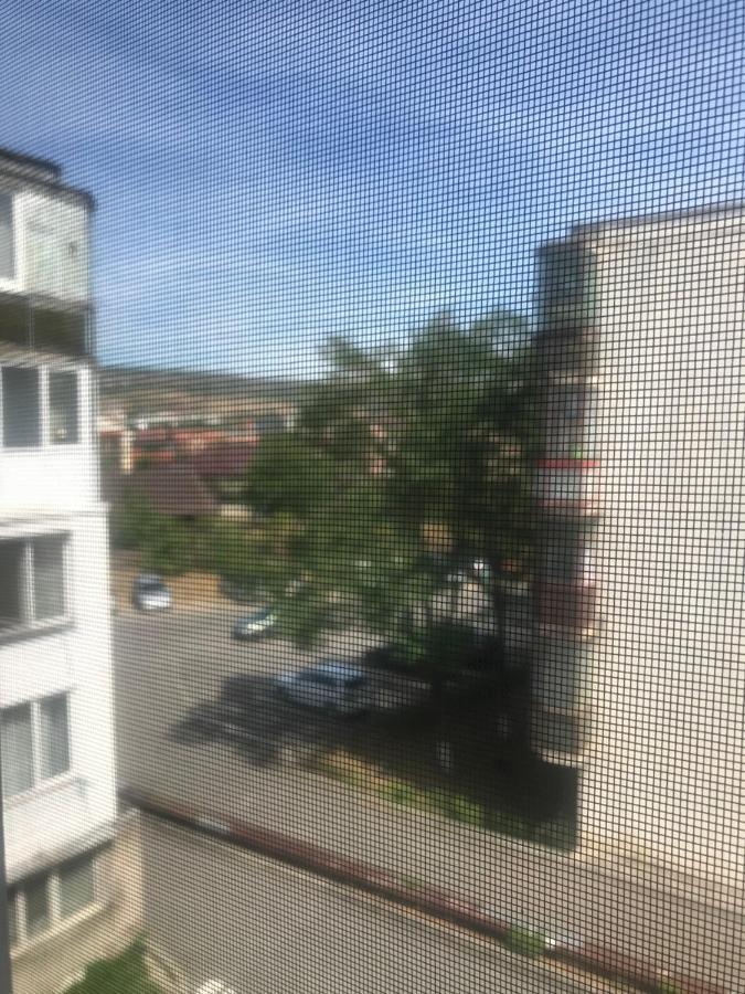 Family Studio Cluj-Napoca Eksteriør billede