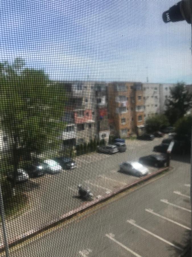Family Studio Cluj-Napoca Eksteriør billede